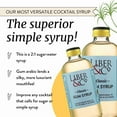 Simple Syrup, Classic Gum Syrup (9.5 oz) Made with Cane Sugar and Gum