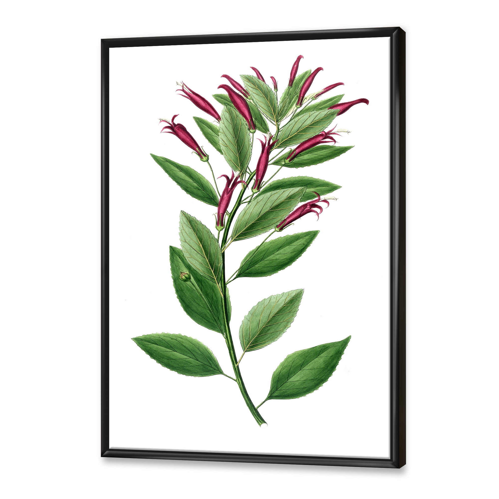 Designart 'Ancient American Flora V' Traditional Framed Canvas Wall Art Print