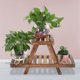 thumbnail image 4 of Estante de almacenamiento de plantas en maceta, estante de madera de 2 capas para plantas en maceta, estante de pie para plantas en maceta, diseño elevado, 4 of 8