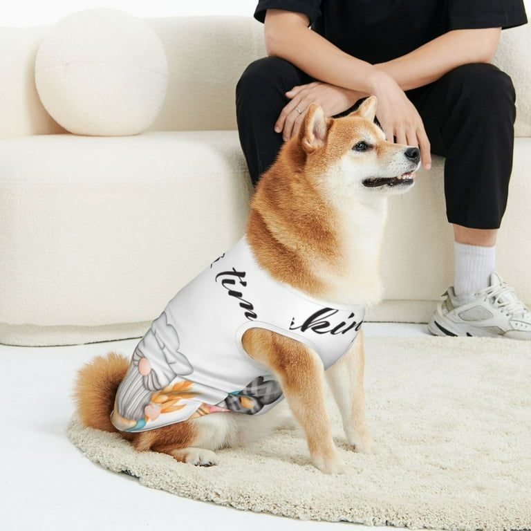 3x small dog clothes discount
