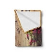 thumbnail image 2 of Cityscape Soft Flannel Fleece Blanket, Street in Pienza Tuscany Italy with Hanging Basket Plants Flowers Bicycles Picture, Cozy Plush for Indoor and Outdoor Use, 60" x 80", Red Green, by Ambesonne, 2 of 5