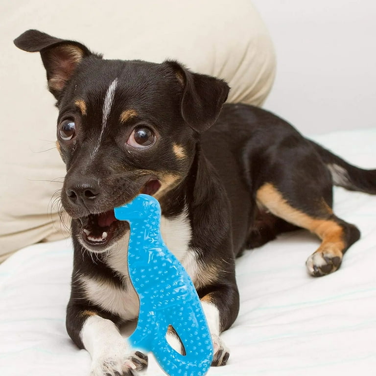 Nylabone hotsell dinosaur puppy