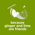 thumbnail image 6 of Diet Coke Ginger Lime Soda Soft Drink, 12 fl oz, 8 Pack, 6 of 15
