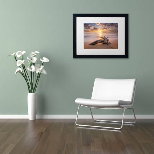 Trademark Fine Art Landscapes Matted Framed Art ' Beach Tree Sunrise ' by Pierre Leclerc