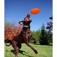 thumbnail image 4 of Jolly Football 8"-Orange, 4 of 4