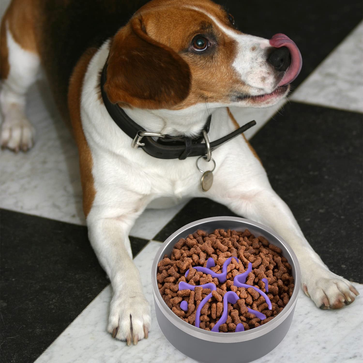 Slow Feeder Dog Bowls Insert, Puzzle Slow Feeder with 51 Octopus Suction Cups for Medium Large Size Dog Bowls Over 6.5" Wide (Purple)