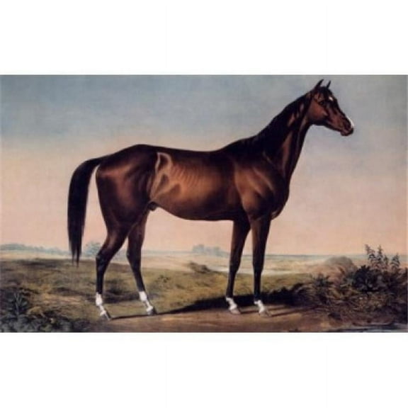 The Celebrated Horse Lexington Currier & Ives Active 1857-1907 American Poster Print - 18 x 24 in.