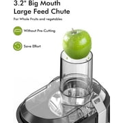 SIFENE 800W Centrifugal Juicer Machine, 3-Speed Juice Extractor with 3-Inch Wide Chute, Easy Clean, Fruit & Vegetable Juicer, Stainless Steel, BPA-Free, Compact Home Kitchen, Gray