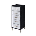 thumbnail image 3 of Newboti Furniture Myles Black, Silver & Gold Finish Jewelry Armoire 76087, 3 of 9