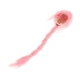 thumbnail image 4 of Colcolo 1/6 Female Hair Doll Decoration for 12'' Woman Doll Action Figures Accessory Pink Braid, 4 of 8