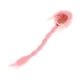 thumbnail image 4 of Peluca de pelo femenino a escala 1:6 para vestir, duradera, para muñeca de 12 pulgadas Trenza Rosa, 4 of 9