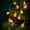 Z, variant on Toycle Holiday Theme LED String Lights 4 Styles Santa Pumpkin Tree Snowflake Battery Powered Lights For Christmas Halloween Decor A