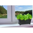 thumbnail image 4 of Start Pickin' Raised Bed Grow Box – Self Watering Plant - Herb Garden– 10”H x12” L x 20” W– Charcoal, 4 of 10