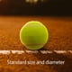 thumbnail image 4 of Bolas De Entrenamiento De Tenis De 3 PC, Tenis De Alta Práctica De Elasticidad Para Principiantes, Ejercicio De Juego De Pelotas Para Mascota, 4 of 7