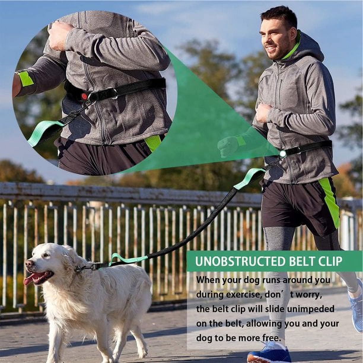 Waist hotsell dog leash