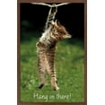 thumbnail image 1 of Famous Kitten Hang In There Poster Wall Poster, 22.375" x 34", 1 of 5