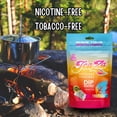 thumbnail image 4 of Teaza Herbal Energy Pouches Chewing Tobacco Alternative Nicotine Free Dip, Smokeless Alternative Snuff & Healthy Dip, Tropical Flavor (2 Pack) Mouthwatering Tropical Fruits Pineapple Mango Citrus, 4 of 9