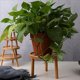 thumbnail image 3 of 2X Bandeja para Macetas, Estante para Flores de Madera Maciza, Escritorio Interior, Sala de Estar, Pothos Suculentos en Maceta, Base de JarróN de Pie, 3 of 4