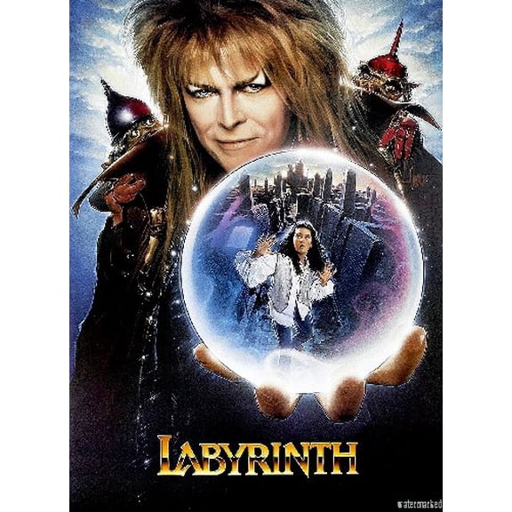 Labyrinth Movie Poster Metal Print 12in x 16in Print on Metal 12x16 Square Adults Best Posters