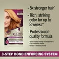 thumbnail image 5 of Schwarzkopf Keratin Blonde Hair Dye Apricot Blonde 11.7, Hi-Lift Permanent Color, 1 Use, 5 of 11