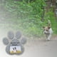 thumbnail image 3 of de tumba para mascotas con ranura para , pérdida para mascotas, lápida conmemorativa de perro personalizada, lápida para patio Gloria lápidas, 3 of 8