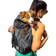 thumbnail image 1 of Mochila portabebés K9 Sport Sack Trainer X-Small Iron Gate, 1 of 6