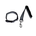 thumbnail image 5 of Juego de correa con collar Infanti Pets negra extra grande, 5 of 5