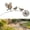 1pc, variant on Robin Memorial Garden Stake, Kinetic Metal Bird Yard Art Ornament, Weather Resistant Rustic Outdoor Decor with Robin & Dandelion, Remembrance Keepsake for Patio Lawn