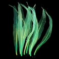 thumbnail image 4 of Decoración de paisaje de acuario de silicona simulación coral kelp, 4 of 5