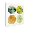 thumbnail image 2 of Trademark Fine Art 'Planetary VI' Canvas Art by June Erica Vess, 2 of 4