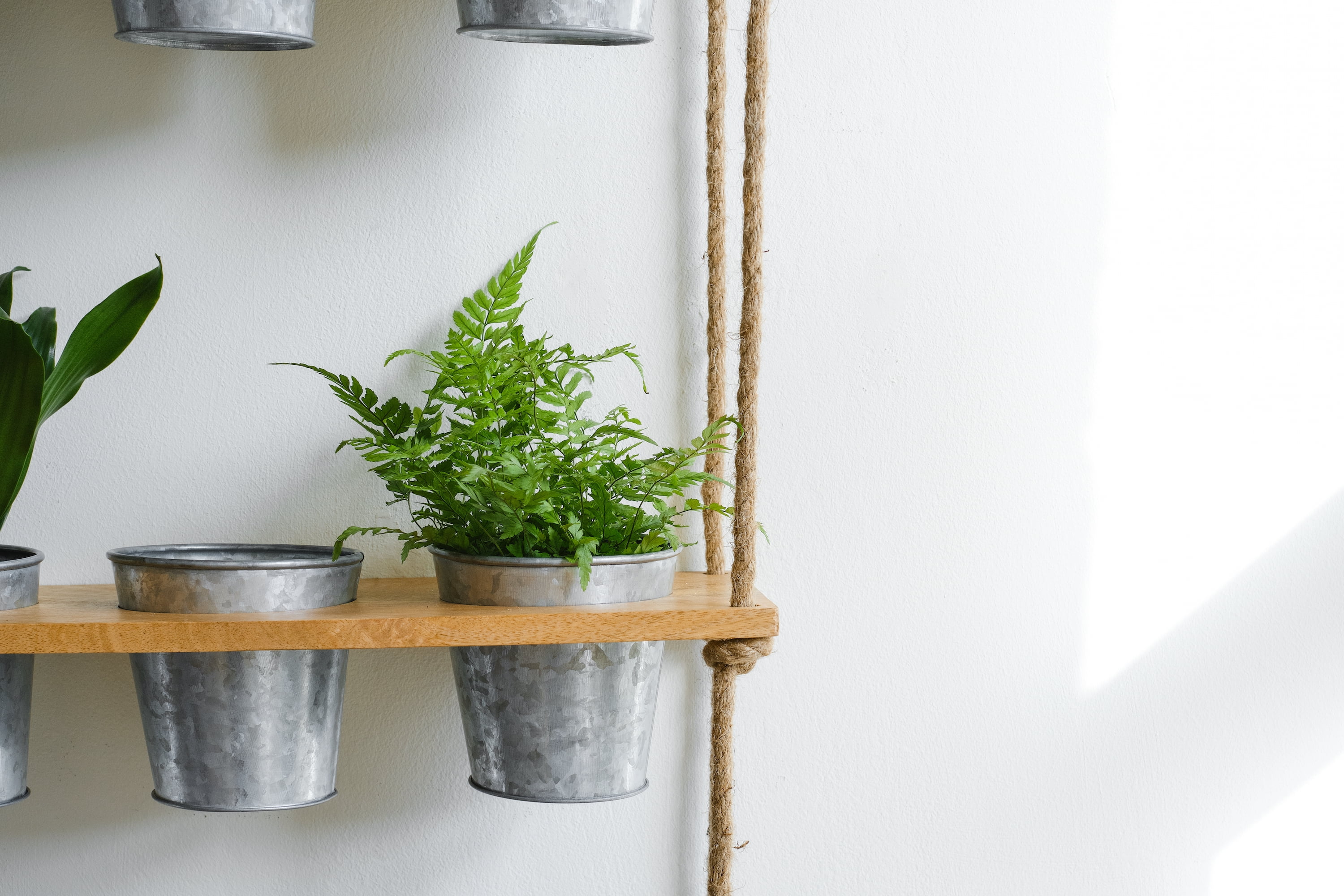 Hanging herb shelf shop