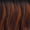DRGITOF, variant on Outre Quick Weave Synthetic Hair Half Wig - LUCETTE