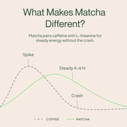 Morning Made Ceremonial Grade Organic Matcha Latte Powder, Vanilla, 10 pack (0.18oz ea)