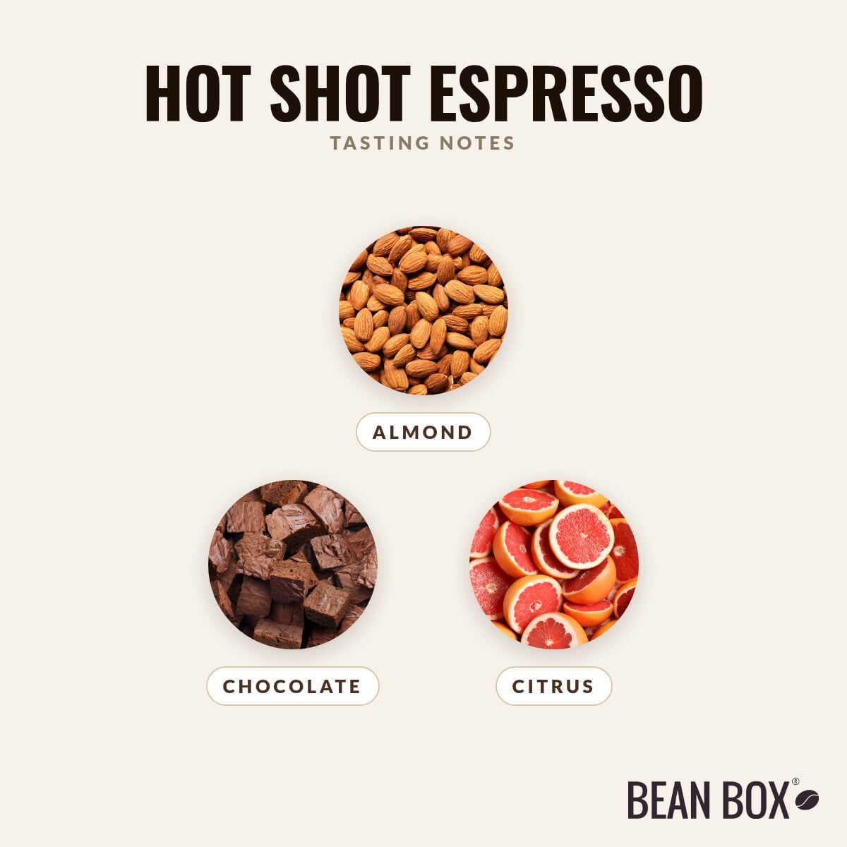 Hot Shot Espresso - Roasted by Drink Coffee Do Stuff - Whole Bean Coffee - 2lb Bag