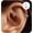 Silver, variant on 2PCS Cartilage Helix Piercing Earrings For Women Titanium Rook Jewelry Small Double Hoop Conch 16G Tragus 14K Gold Plated Hypoallergenic For Sensitive Ears