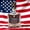 Eagle, variant on 250th Anniversary Whiskey Bottle and Glass Set, USA Patriotic Commemorative for Father's Day, Liquor Gift, 9.8x7.9x5.9in