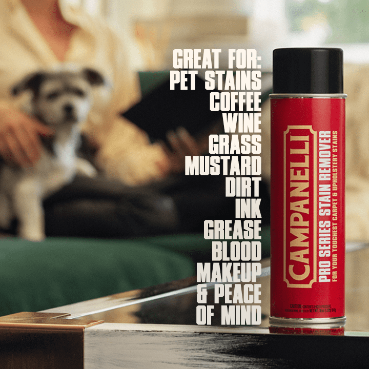 CAMPANELLI Pro Series Stain Remover - 18oz Aerosol - Point & Spray Carpet Cleaner, Spot Remover, Great For Pet Stains & Odors, Upholstery, Fabrics, & More
