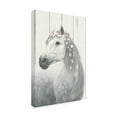 thumbnail image 2 of James Wiens 'Spirit Stallion II on Wood no Lace' Canvas Art, 2 of 3