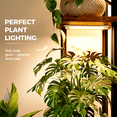 thumbnail image 7 of Plant Stand with Grow Light for Indoor Plants Corner 5 Tier Metal Plant Shelf Wood Flower Stand for Home Living Room Decor Patio Decor, 7 of 7