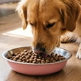 thumbnail image 3 of bestolf Stainless Steel Pet Bowl Silicone Bottom Small Medium Large Dogs Cats Feeding Bowl Anti-tip Pet Water Treat Food Feeder Bowl (Black ), 3 of 8