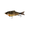 Baby Bluegill, variant on 6th Sense – Trace Multi-Jointed Swimbait Series, Realistic Swimming Hard Bait