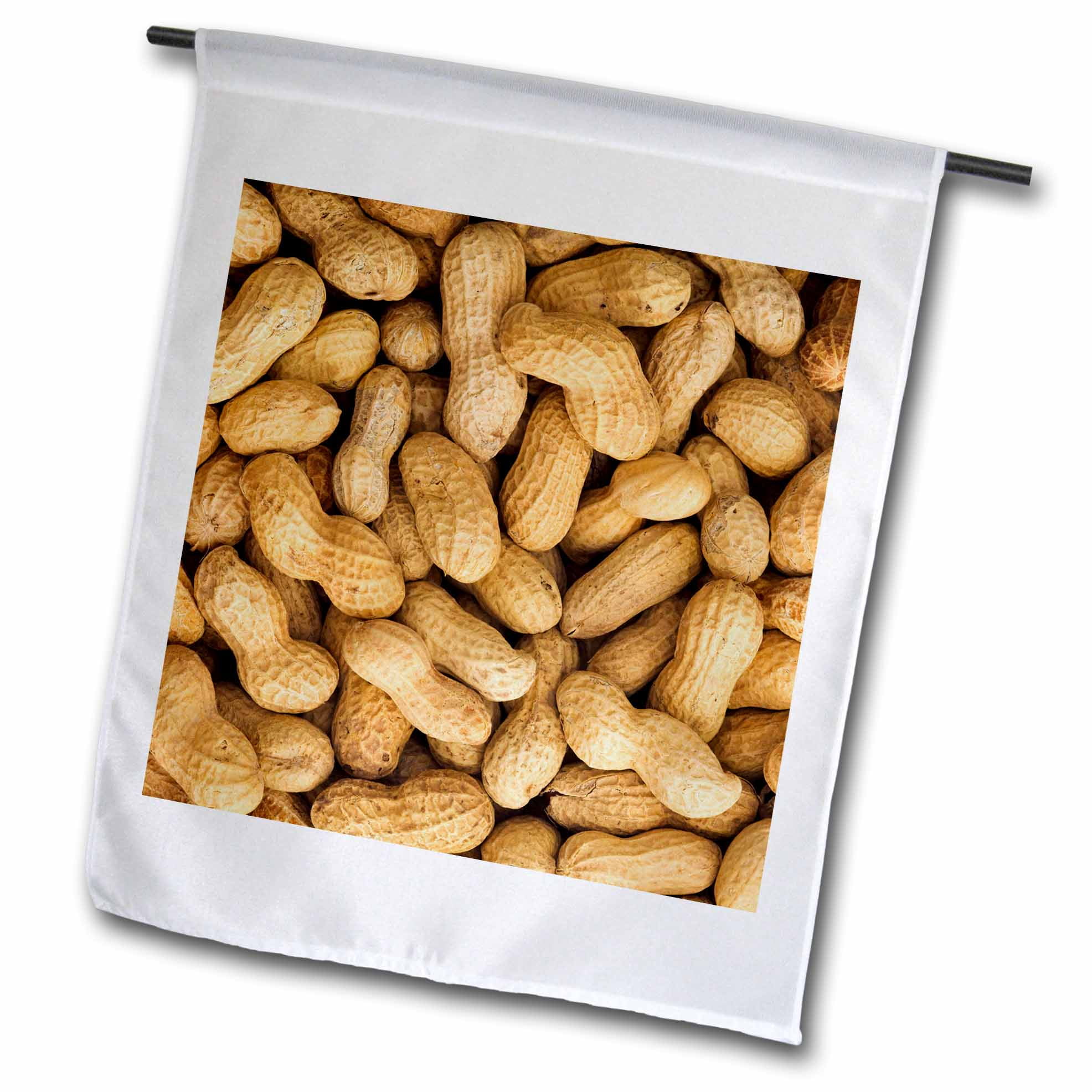 3dRose Unshelled peanuts, pattern, nutrition LI11 BJA0002 Jaynes