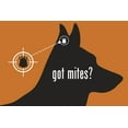 thumbnail image 2 of Happy Jack 4000-01051 0.5 oz Mitex Ear Mite Treatment for Dogs, 2 of 9