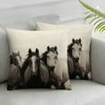 thumbnail image 2 of QZHH  2Pack Throw Pillow Covers African Animals Running Horse Waist Horses Pillow Cases Realistic Horse Eyes Simplin Animal Armchair Cushion Cover Home Decor, 2 of 6