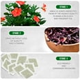 thumbnail image 2 of TeaDreamTea Hibiscus Tea Bags | 100 Bleach-Free Tea Bags | Caffeine Free | Dried Hibiscus Flowers | Hibiscus Flower Tea | Dried Flower Tea | Brew Hot or Iced |Herbal Hibiscus Tea, 2 of 7