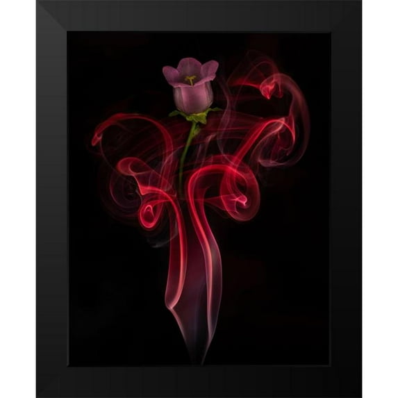 Yakubovitch, Azriel 12x14 Black Modern Framed Museum Art Print Titled - Campanula Bell Dance