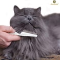 thumbnail image 2 of Peine para perros y gatos, 7,4 pulgadas, herramienta para desenredar el pelaje, peine de aseo y masaje, duradero, dientes de peine de acero inoxidable estrechamente atados, mango blanco, 1 pieza, 2 of 6