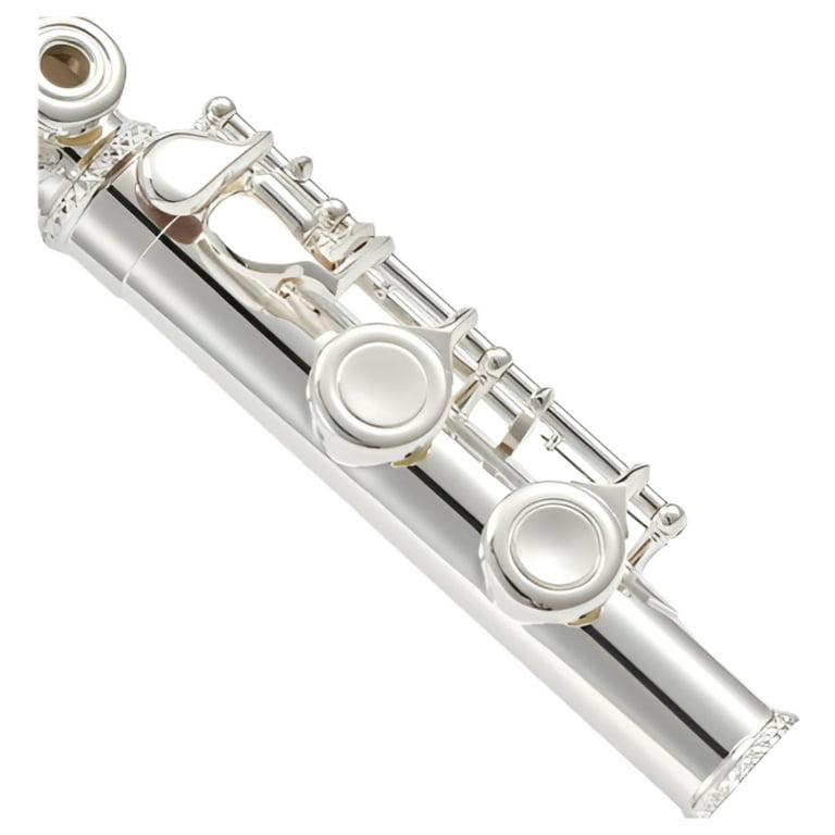 Eastar 16 Keys C Flute Musical Instrument for Beginner