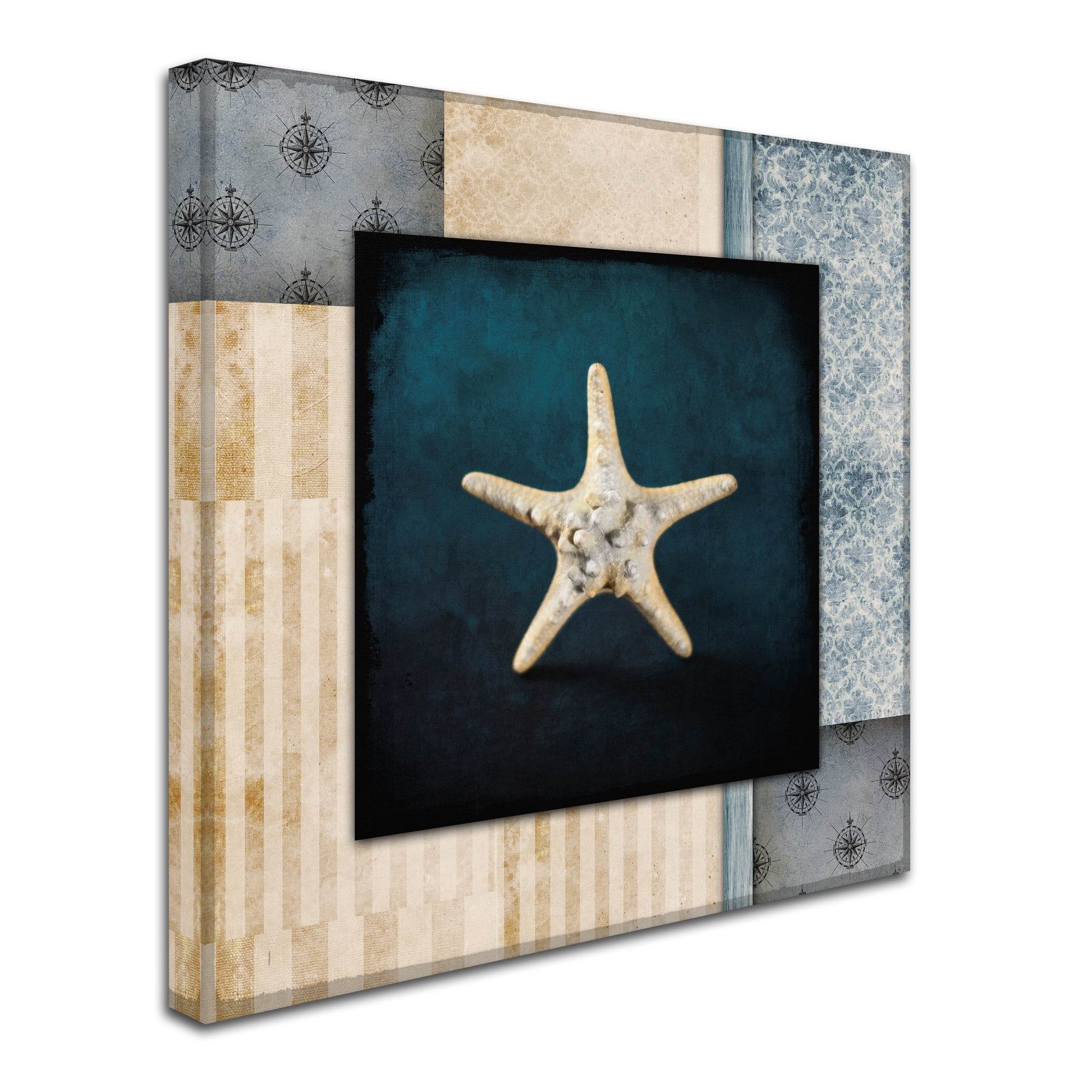 Trademark Fine Art 'Blue Sea Bumpy Star' Canvas Art by LightBoxJournal