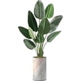 thumbnail image 4 of Artificial Tree in Modern Granite Effect Planter, Fake Bird of Paradise Silk Tree for Indoor and Outdoor Home Decoration - 58" Overall Tall (Plant Pot Plus Tree), 4 of 5